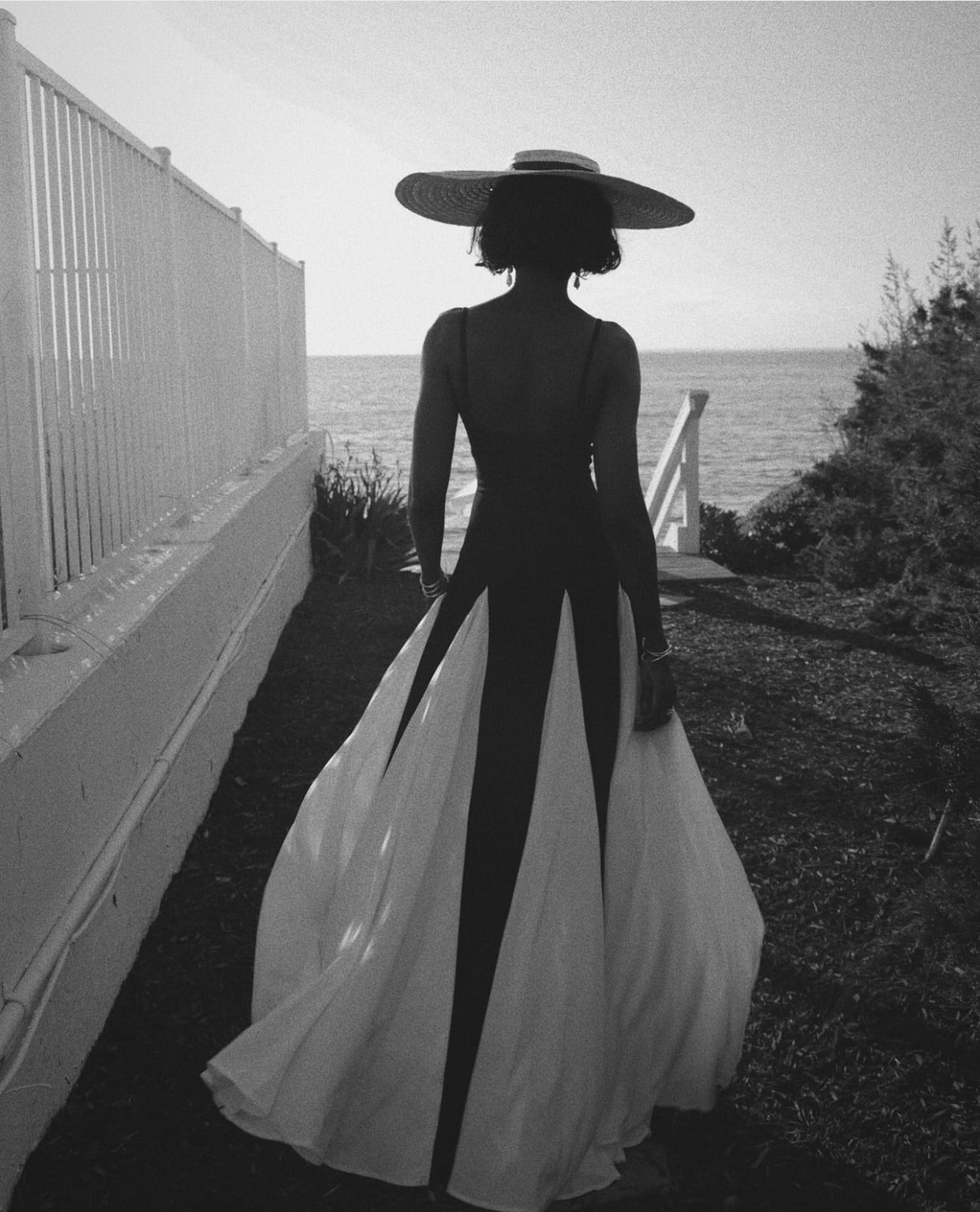Paloma
